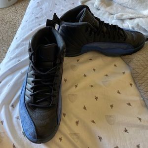 Nike Air Jordan 12 retro